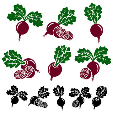 Beet Labels And Elements Set. Vector