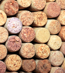 Wall of many different wine corks. Closeup of wine corks. Close up of cork wine. 