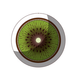 Delicious kiwi fruit icon vector illustration design