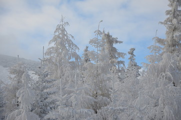 karkonosze