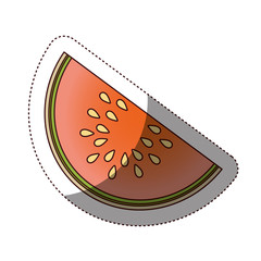 Delicious melon fruit icon vector illustration design