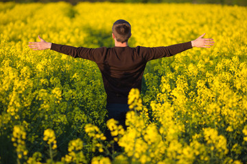 man in yellow canola field blowing his nose and suffering from pollen allergy.