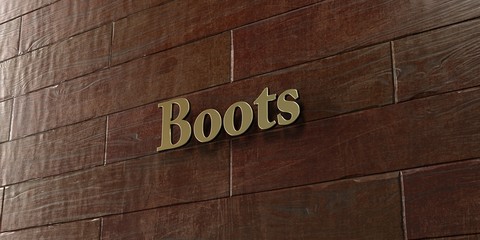Boots - Bronze plaque mounted on maple wood wall  - 3D rendered royalty free stock picture. This image can be used for an online website banner ad or a print postcard.