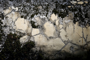 Abstract crack pattern on old cement wall background