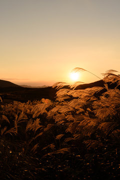 Autumun sunset at Soni Plateau