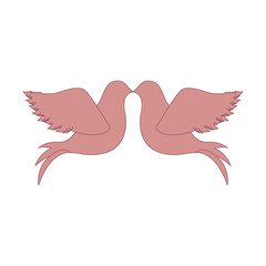 delicate doves icon image vector illustration design 