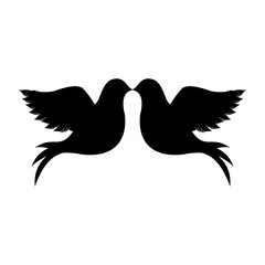 delicate doves icon image vector illustration design 