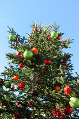 Christmas tree in day light, angle of elevation with blue sky.