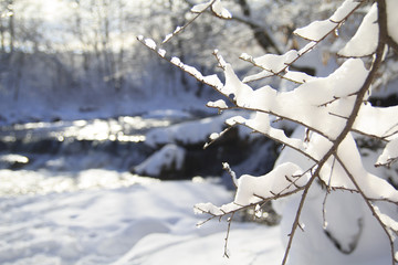 Obraz premium Fluffy snow on a tree branch in winter forest with a waterfall on background