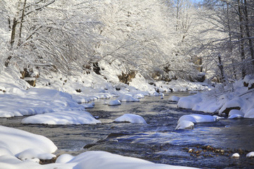 Beautiful river in winter forest with fairy trees in snow and snow caps on a water