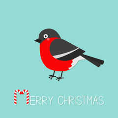 Bullfinch winter red feather bird. Merry Christmas greeting card. Candy cane text. Cute cartoon funny character. Baby collection. Flat design. Isolated. Blue background.