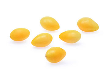 boiled ginkgo nuts isolated on white background