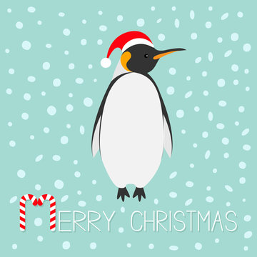 King Penguin Santa red hat. Emperor Aptenodytes Patagonicus Cute cartoon character. Flat design Winter antarctica blue snow background Merry Christmas Candy cane text. Greeting card.