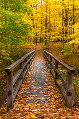 The Path