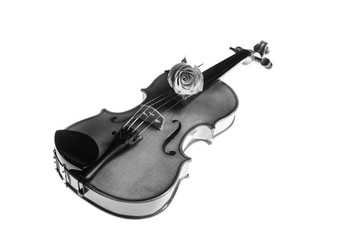 Obraz premium Violin and rose, Violin orchestra musical instruments 