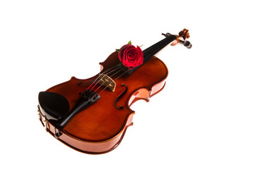 Fototapeta na wymiar violin , Violin orchestra musical instruments 