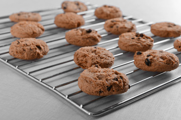 Freshly baked cookies on tray rack