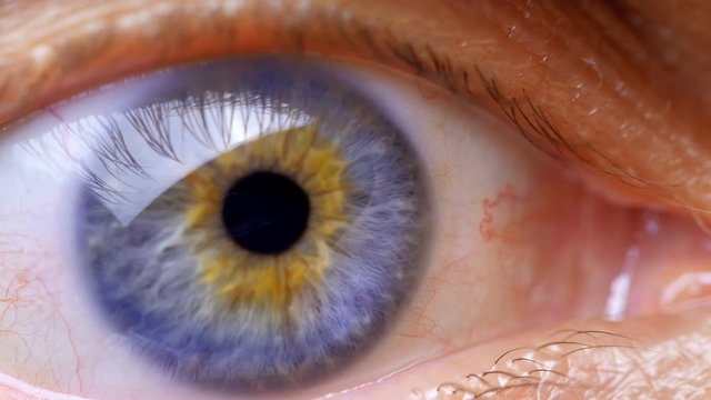 Extreme close up human eye iris 
