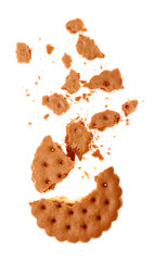 Tasty cookie with crumbs on white background