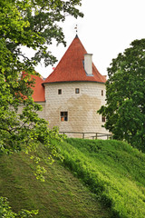 Fototapeta na wymiar Bauska Castle. Bauska. Latvia