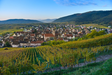 Fototapeta na wymiar Alsace village, with vineyard, Riquewhir. France