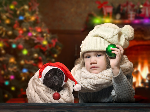 Little girl and dog holding Christmas toys - balls. House with Christmas decor. Christmas tree, fireplace. Child and dog in the hat and scarf
