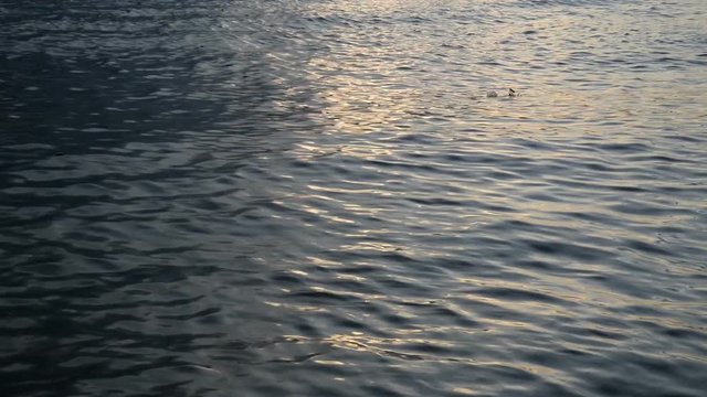 Waves on the sun