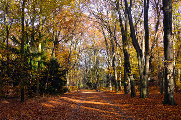 Naklejka premium lichtdurchflutet
