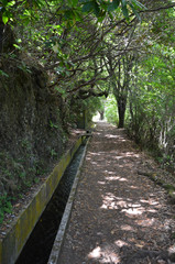 Levada do Furado a Madeira