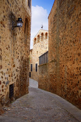 Fototapeta na wymiar Caceres monumental city Extremadura Spain
