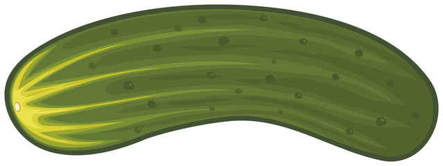 cucumber