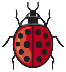 vector illustration of a lady bug
