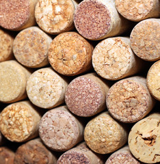 Wall of many different wine corks. Closeup of wine corks. Close up of cork wine.