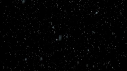 Snow PNG. MOV. New year snowflakes.  