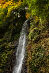Fototapeta na wymiar Water Falling at Yoro Waterfall in Gifu, Japan, November, 2016