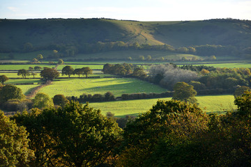Downs