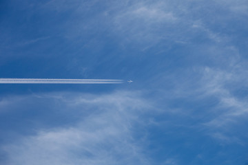 Airplane flies in the sky 