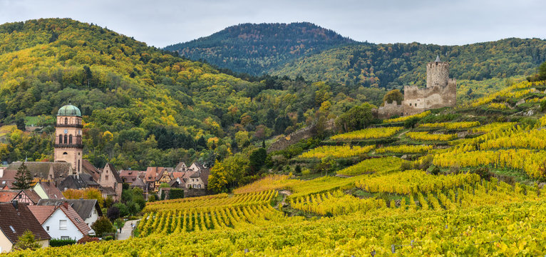 Vineyard and townscape Kaysersberg, Alsace in France