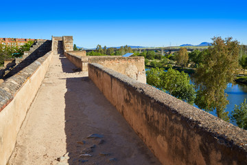 Merida Alcazaba in Spain Badajoz Extremadura