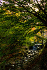 Creek at Yoro Waterfall in Gifu, Japan, November, 2016