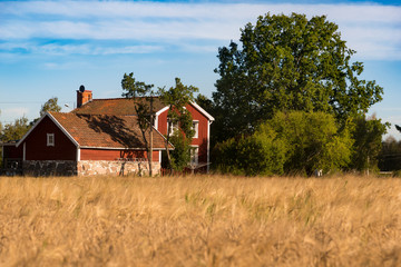 Fototapeta na wymiar Typical red wooden houses of the small village Staby in southeast Sweden surrounded by cereal fields