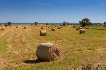 Straw bales on a harvested field on the east coast of the Swedish island of Öland. In the background one of the typical windmills on the island