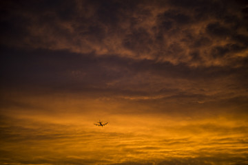 Amsterdam Arrival Airplane