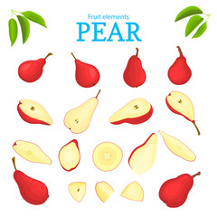 Vector set of red fruits. Pear fruit, whole, peeled, piece of half, slice, leaves, seed. Collection of delicious red pears designer elements for use in packaging design projects flyer healthy eating