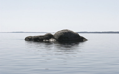 Fototapeta premium Rock in the Sea