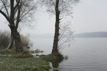 Bare tree on the edge of pond / dam / lake. Seasonal atmosphere of autumn / fall and coming winter. Bad foggy weather with heavy overcast.. Shallow focus.