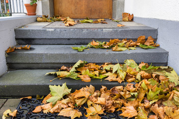 Herbstlaub auf Treppenstufen vor Hauseingang.