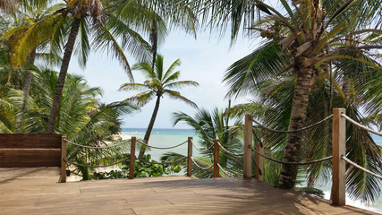 Fototapeta na wymiar isola con palme Craibi