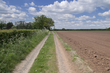  field
