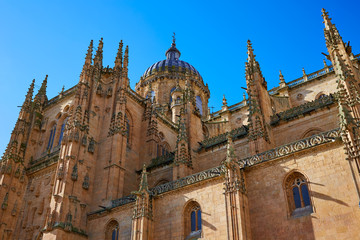 Fototapeta premium Salamanca Cathedral facade in Spain